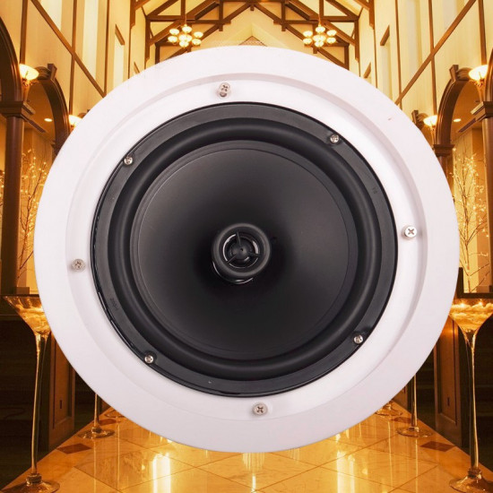 PAC062T 6.5inch Ceiling Speaker Co-Axial 30W 100V Line